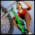Stunt Bike Island